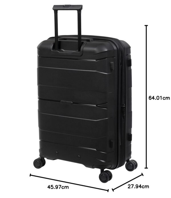 IT Luggage Momentous New Medium